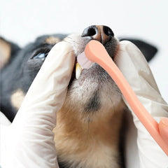 Soft Dog Toothbrush for Grooming and Oral Care
